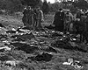 Клоога, Эстония, сентябрь 1944. Советские солдаты и офицеры на поле, среди разбросанной одежды узников лагеря.