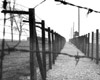 Майданек, Польша, 1973. Сторожевая вышка и забор из колючей проволоки.