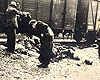 Тыргу-Фрумос, Румыния, 01/07/1941. Местные жители роются в вещах евреев, погибших в “поезде смерти” Яссы-Каларасы.